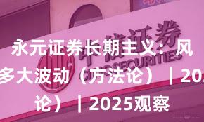 永元证券长期主义：风控能扛多大波动（方法论）｜2025观察