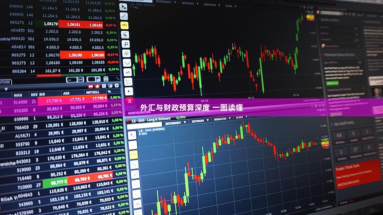 外汇与财政预算深度 一图读懂