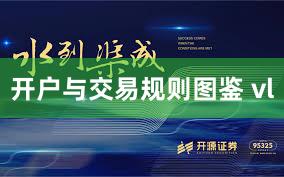 开户与交易规则图鉴 vl