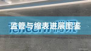 监管与缩表进展图鉴