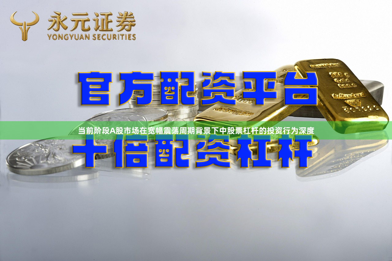 当前阶段A股市场在宽幅震荡周期背景下中股票杠杆的投资行为深度